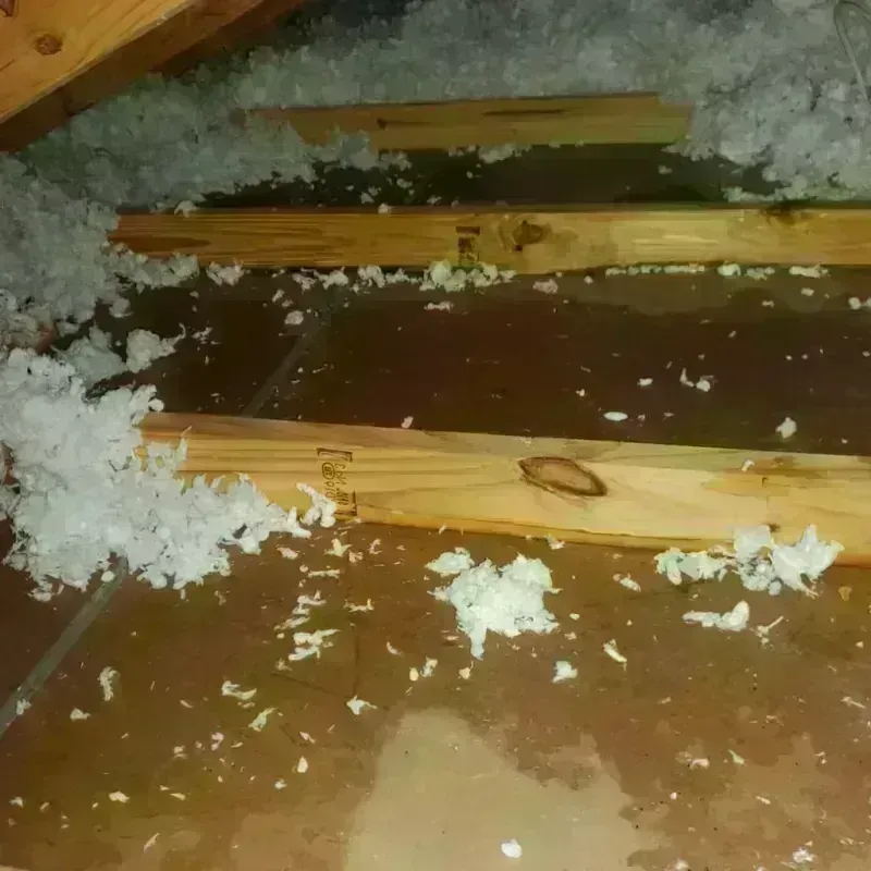 Attic Water Damage in Pine Mountain, GA